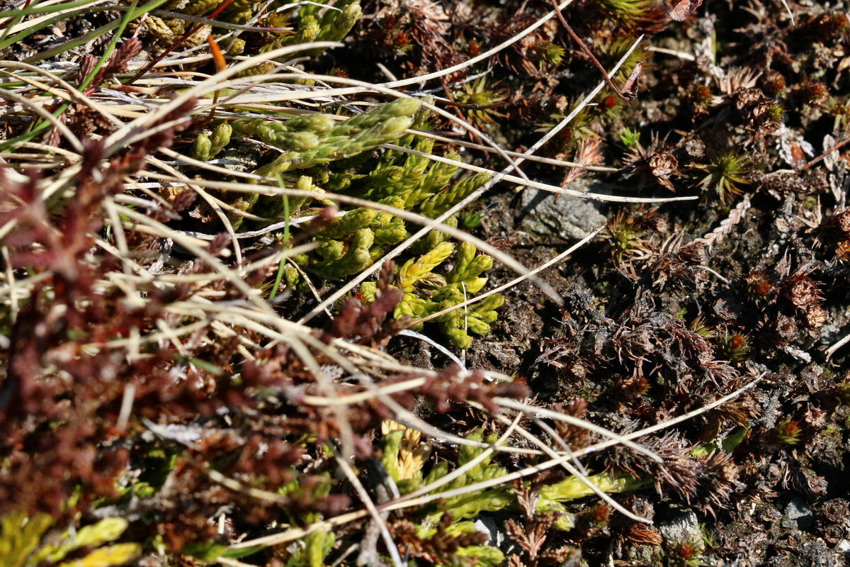 RNA_2017_04_30_0776p_Bildgr��e �ndern