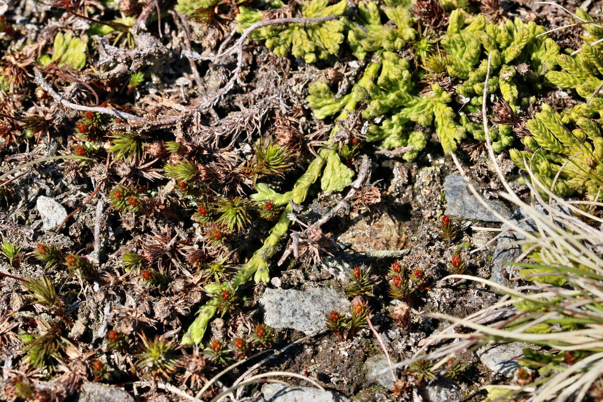 RNA_2017_04_30_0787p_Bildgr��e �ndern