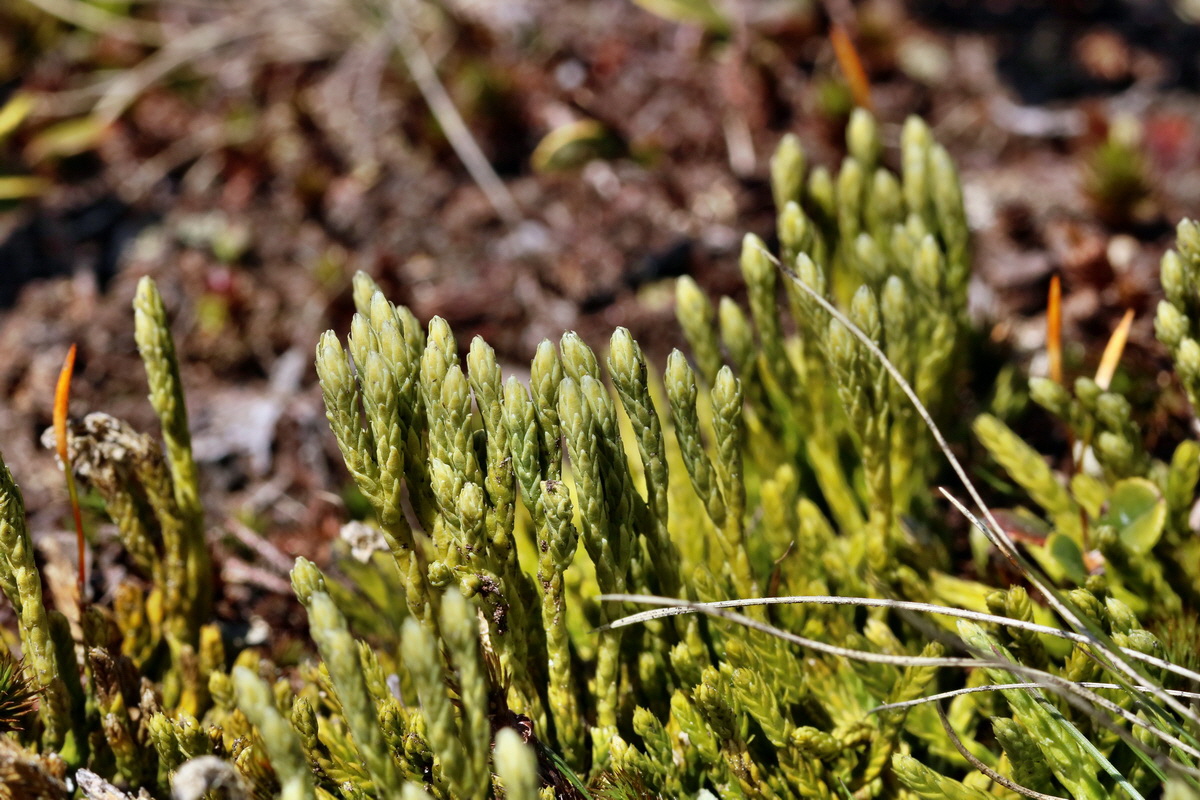 RNA_2017_04_30_0802p_Bildgr��e �ndern