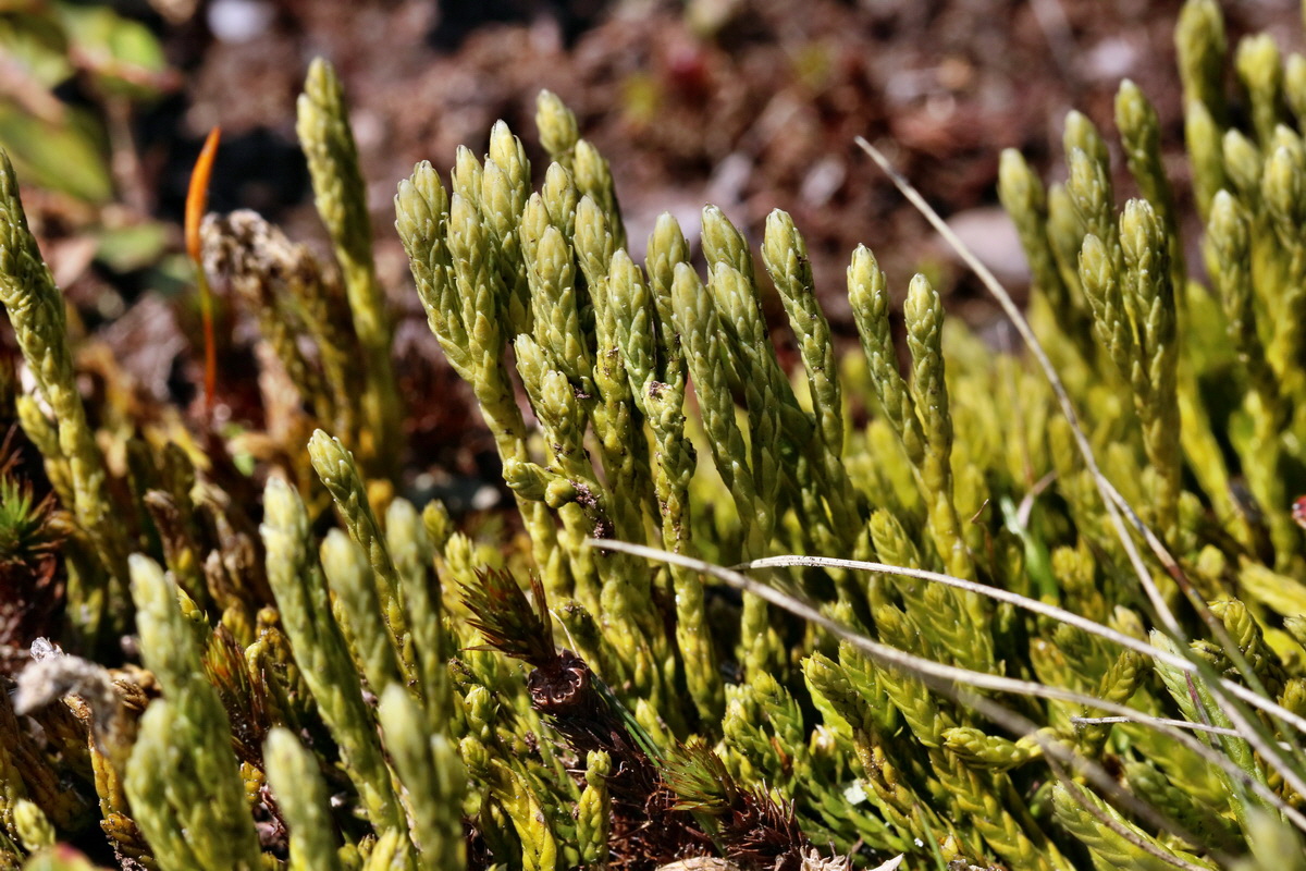 RNA_2017_04_30_0806p_Bildgr��e �ndern