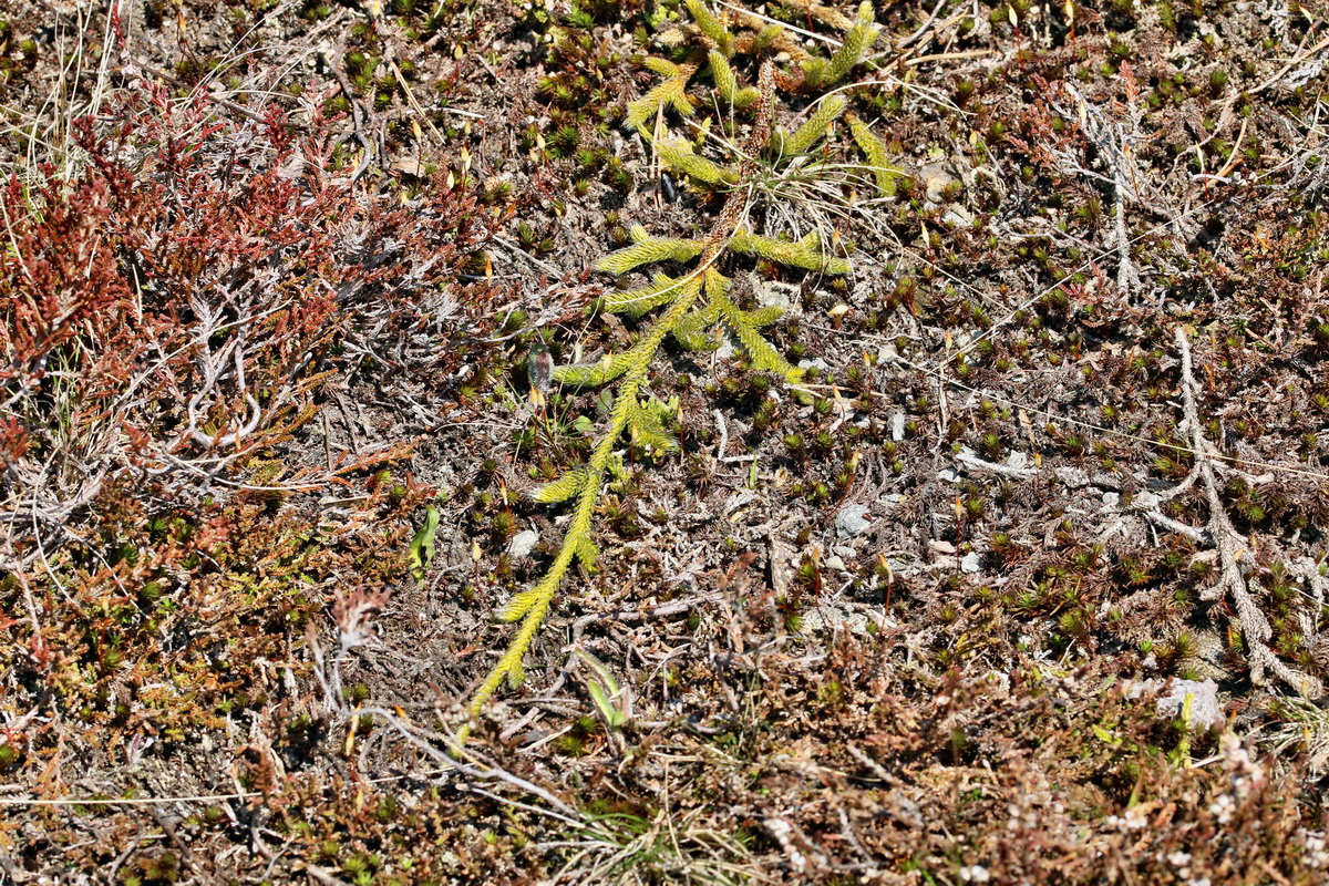 RNA_2017_04_30_0809p_Bildgr��e �ndern