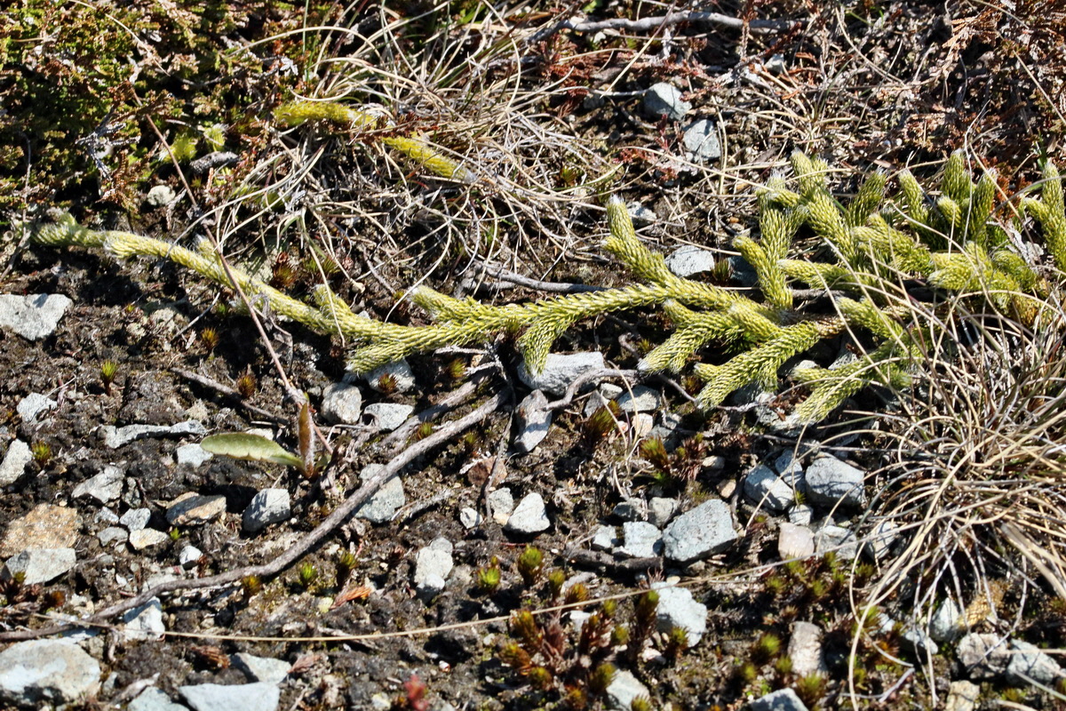 RNA_2017_04_30_0812p_Bildgr��e �ndern