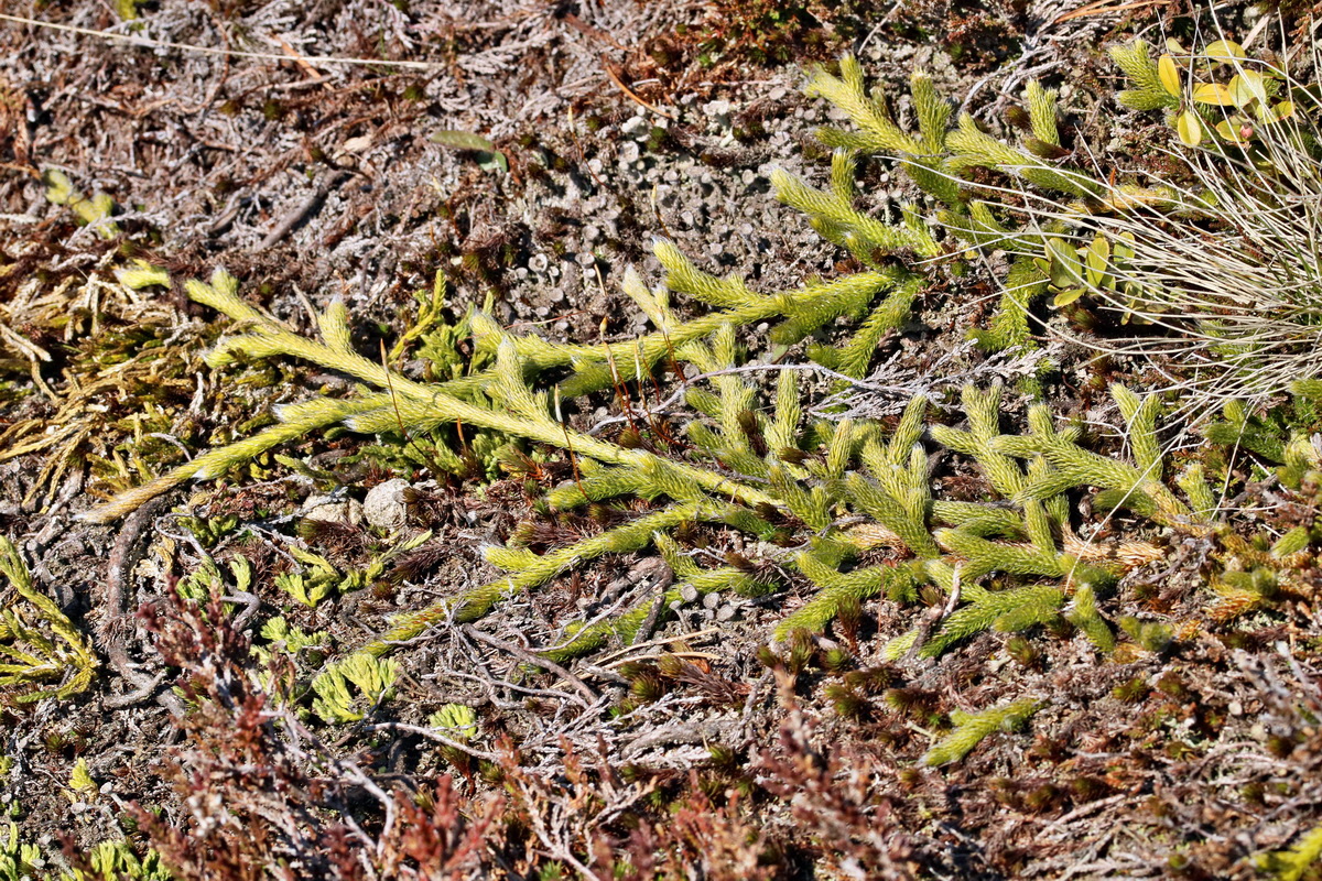 RNA_2017_04_30_0820p_Bildgr��e �ndern