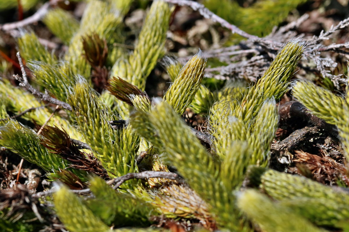 RNA_2017_04_30_0823p_Bildgr��e �ndern