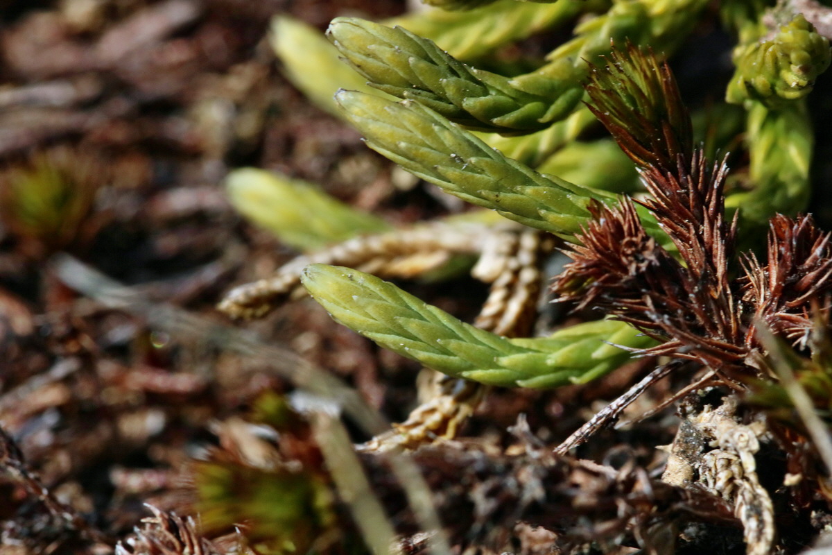 RNA_2017_04_30_0828p_Bildgr��e �ndern