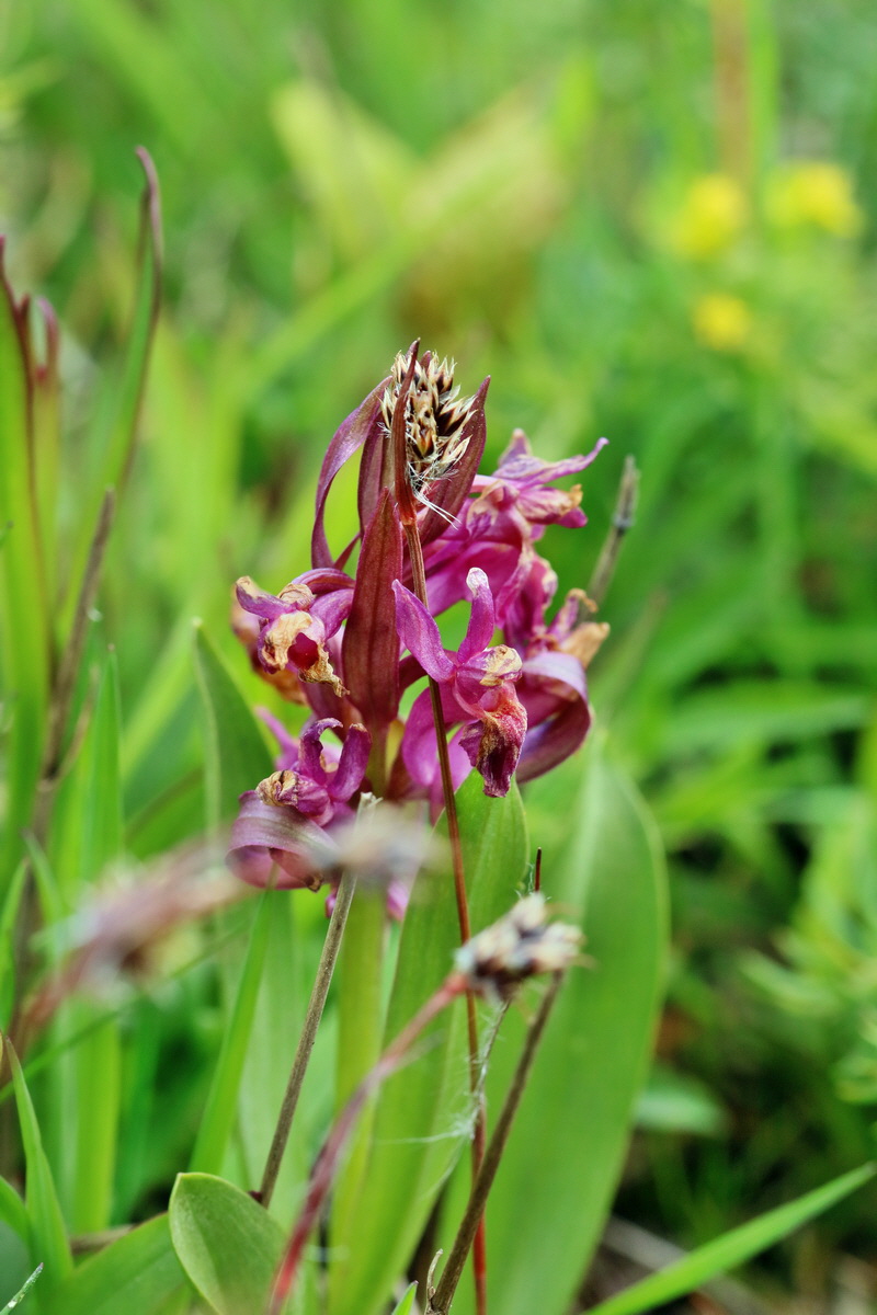 RNA_2017_04_30_0858p_Bildgr��e �ndern