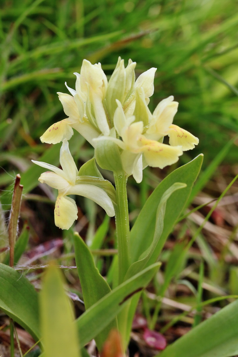 RNA_2017_04_30_0861p_Bildgr��e �ndern