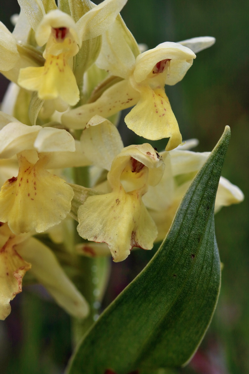 RNA_2017_04_30_0867p_Bildgr��e �ndern