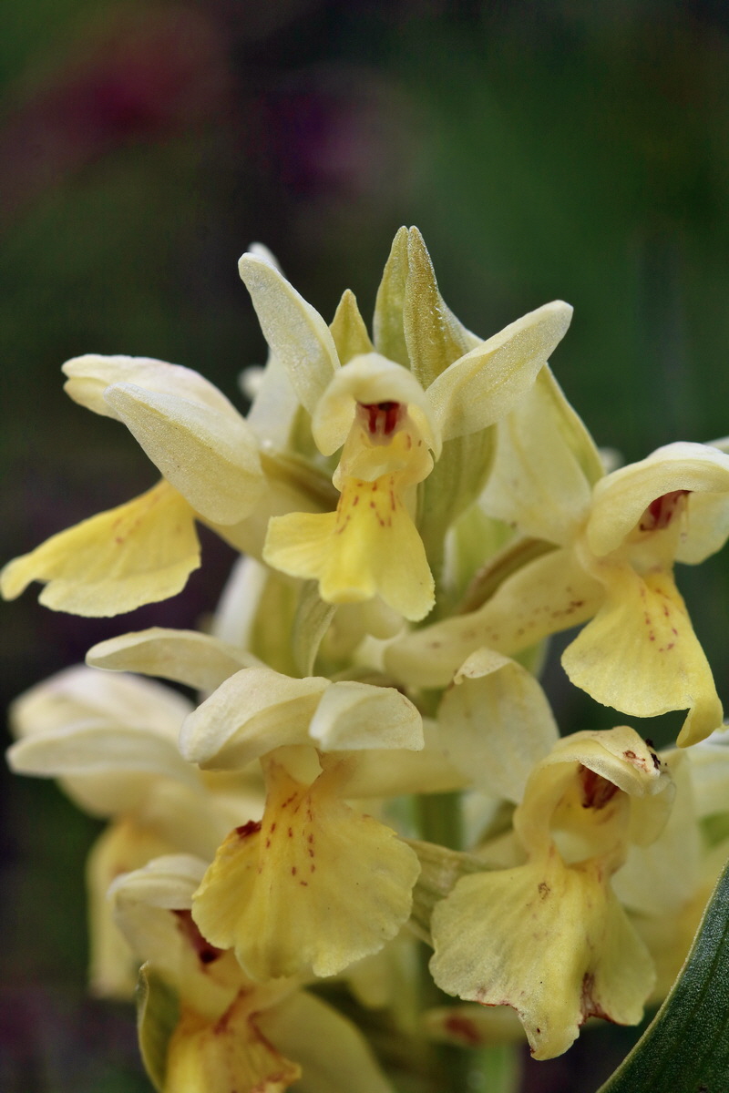 RNA_2017_04_30_0872p_Bildgr��e �ndern