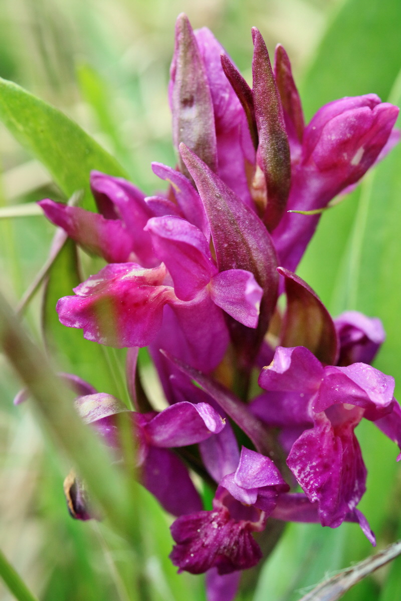 RNA_2017_04_30_0874p_Bildgr��e �ndern