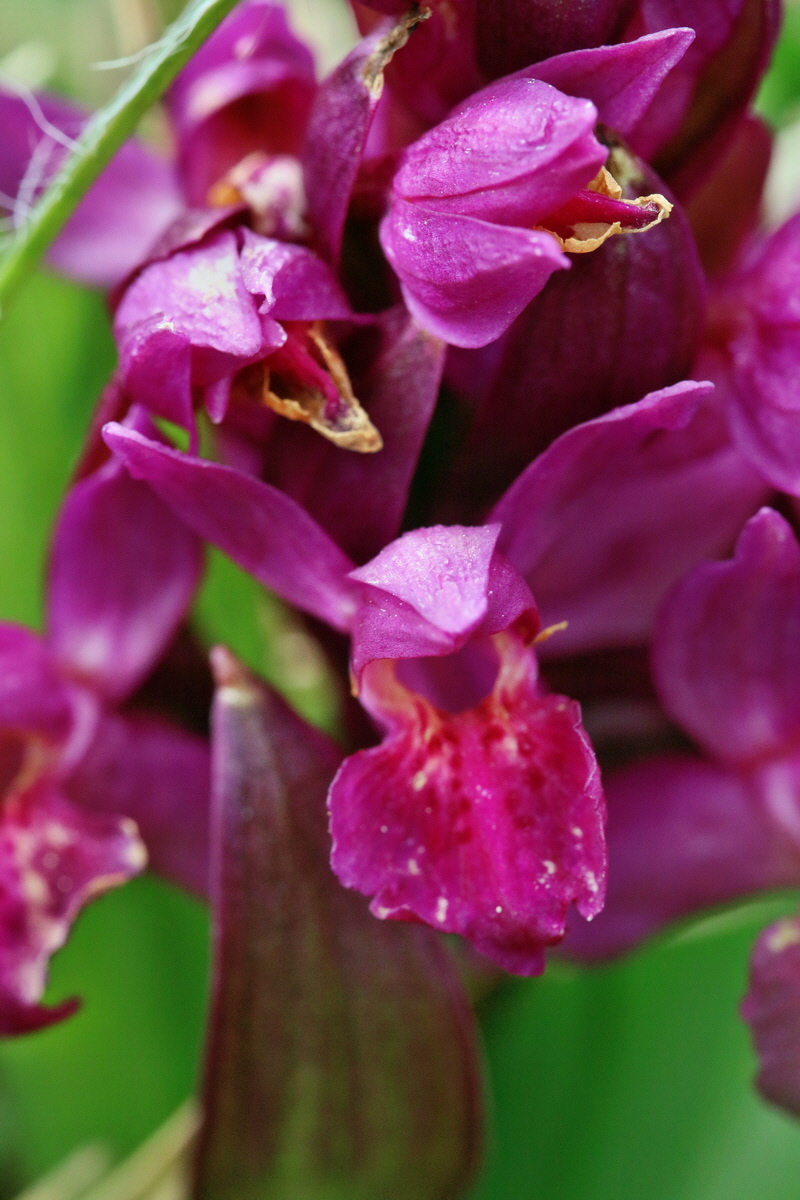 RNA_2017_04_30_0878p_Bildgr��e �ndern