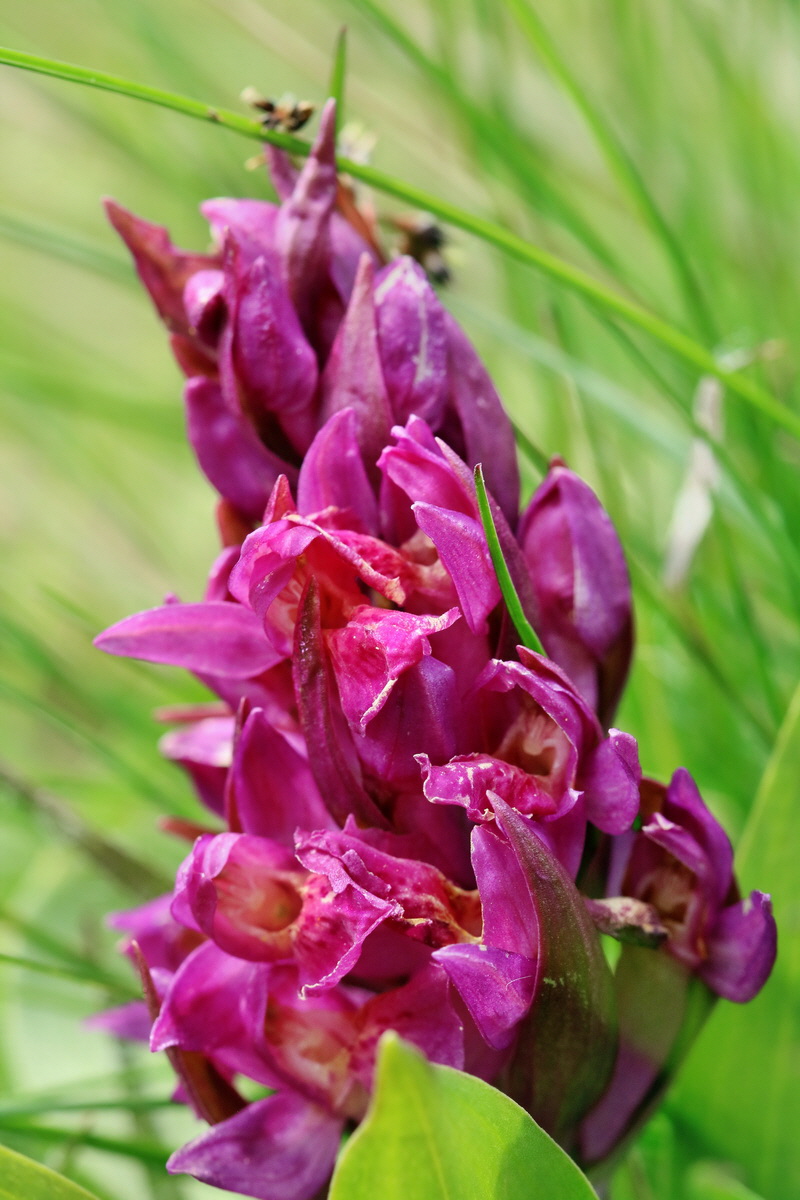 RNA_2017_04_30_0881p_Bildgr��e �ndern