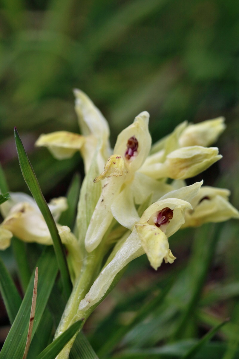 RNA_2017_04_30_0896p_Bildgr��e �ndern