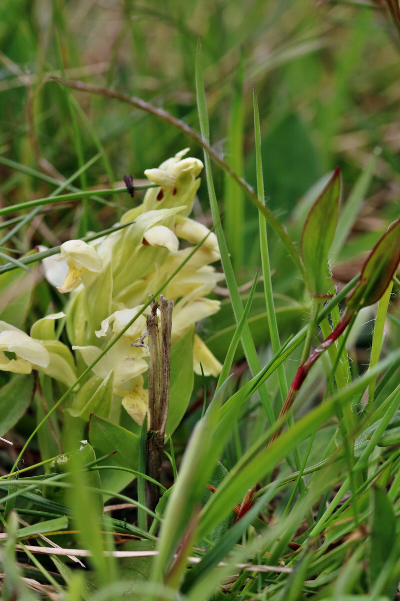 RNA_2017_04_30_0898p_Bildgr��e �ndern