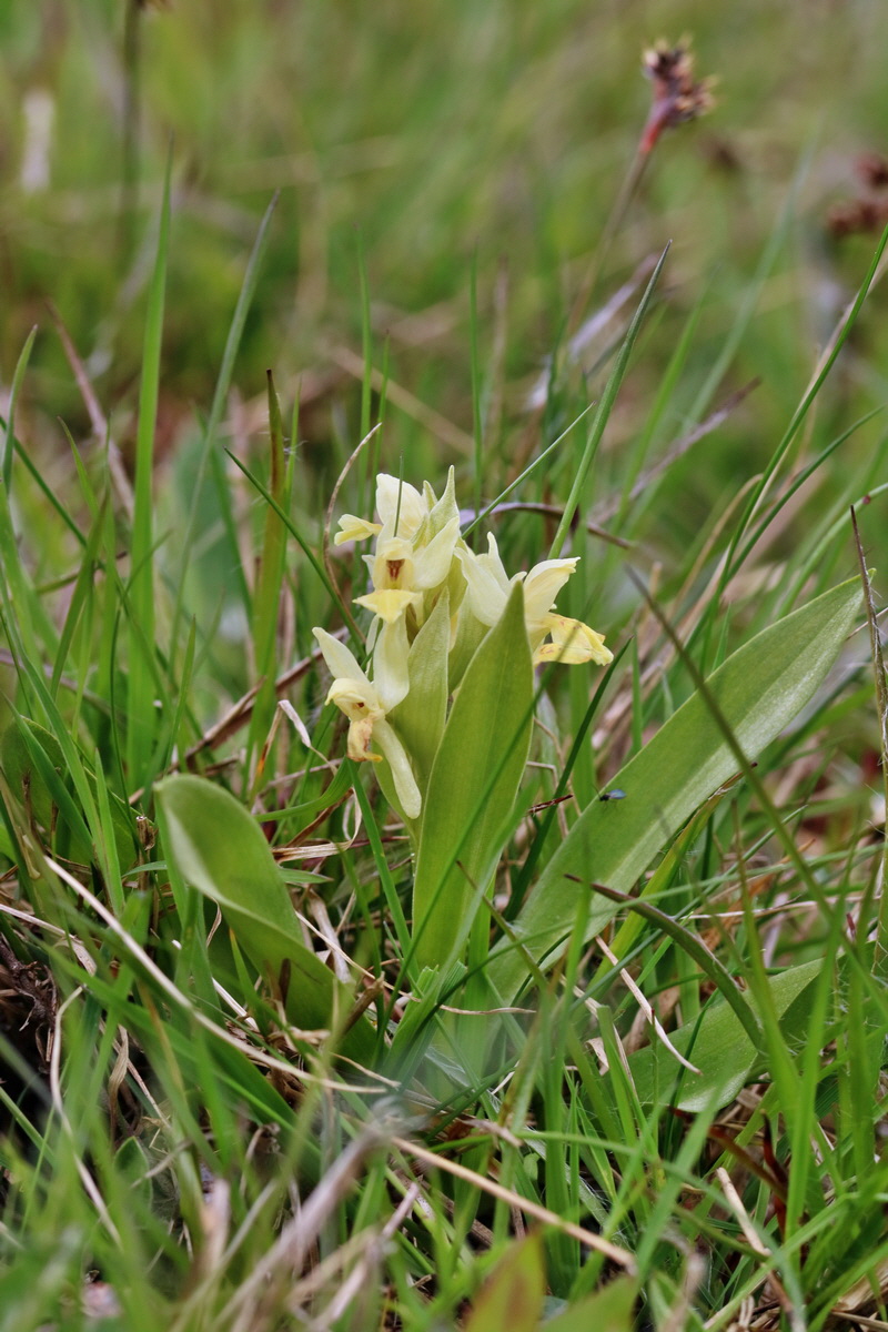 RNA_2017_04_30_0902p_Bildgr��e �ndern