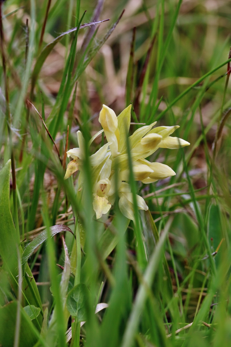 RNA_2017_04_30_0907p_Bildgr��e �ndern