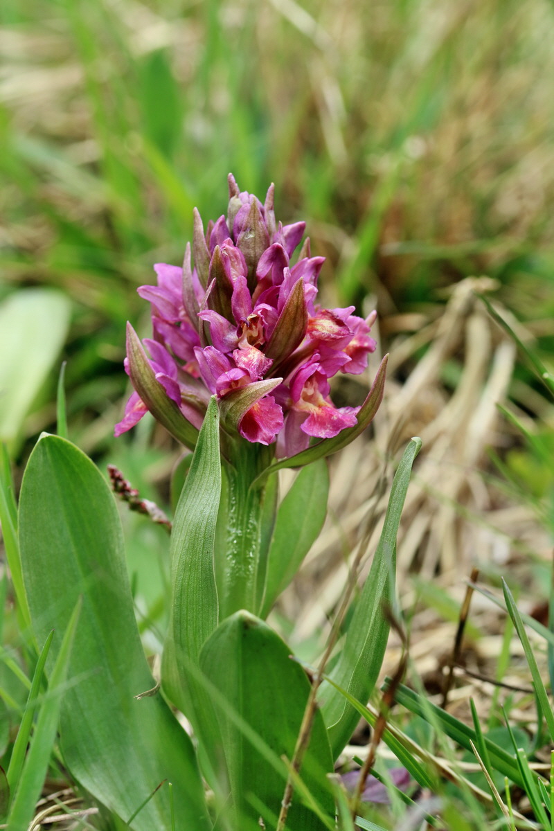 RNA_2017_04_30_0914p_Bildgr��e �ndern