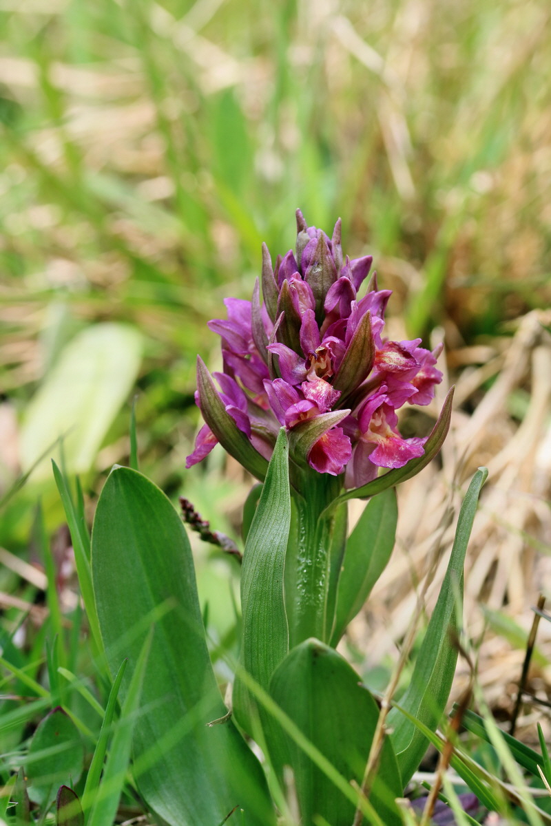 RNA_2017_04_30_0916p_Bildgr��e �ndern