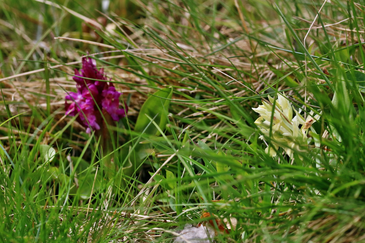 RNA_2017_04_30_0919p_Bildgr��e �ndern