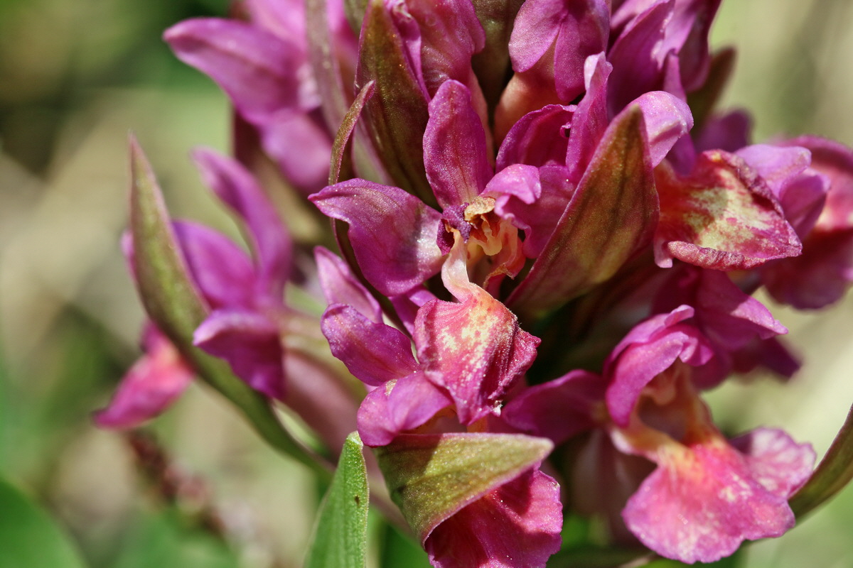 RNA_2017_04_30_0923p_Bildgr��e �ndern