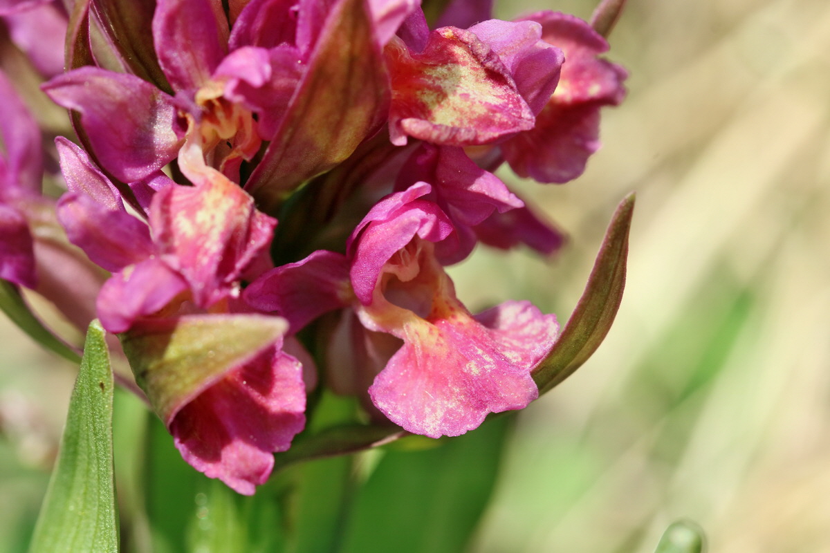 RNA_2017_04_30_0924p_Bildgr��e �ndern