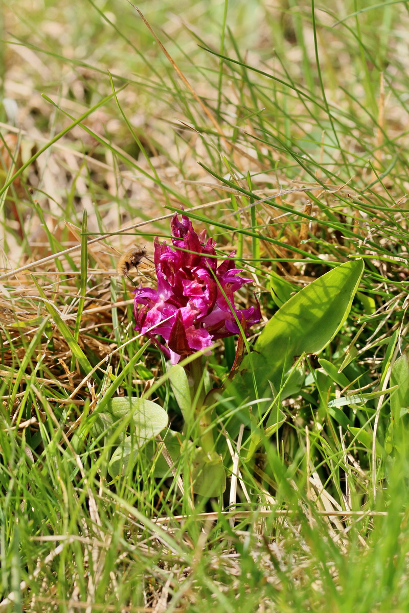 RNA_2017_04_30_0957p_Bildgr��e �ndern