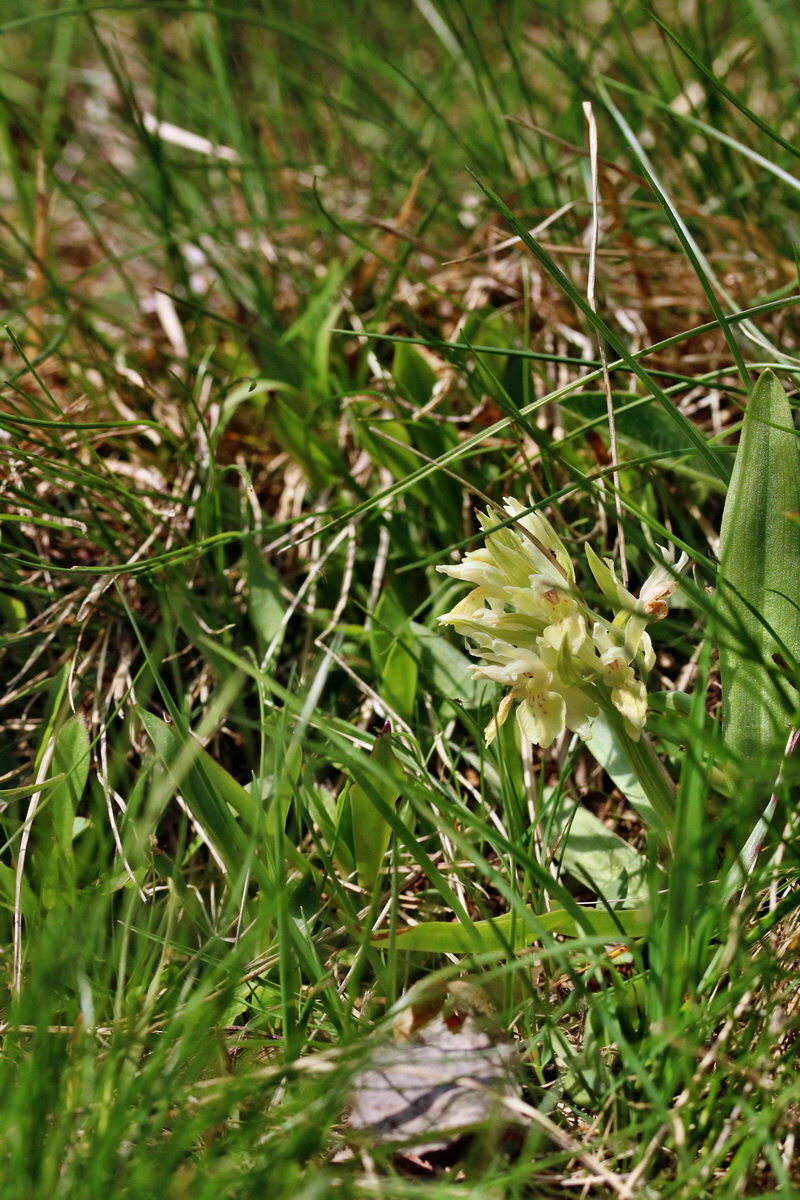 RNA_2017_04_30_0961p_Bildgr��e �ndern