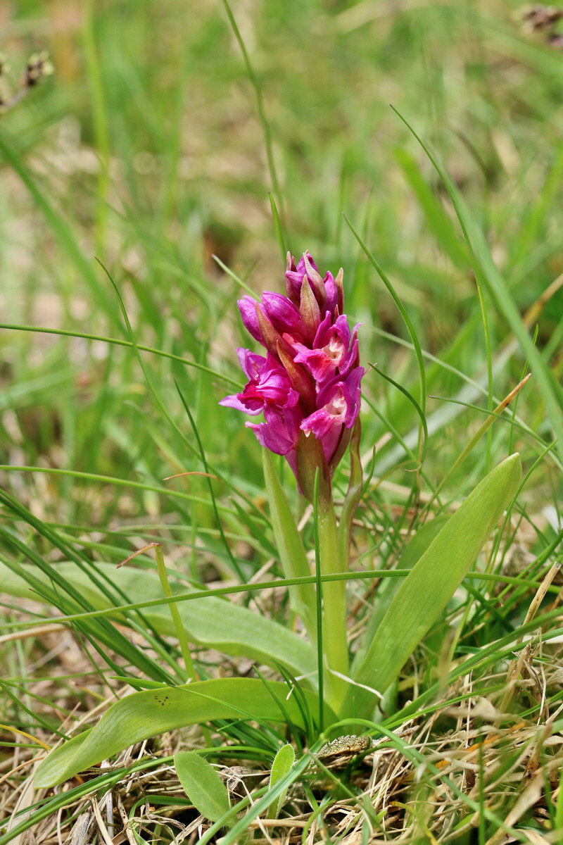 RNA_2017_04_30_0964p_Bildgr��e �ndern