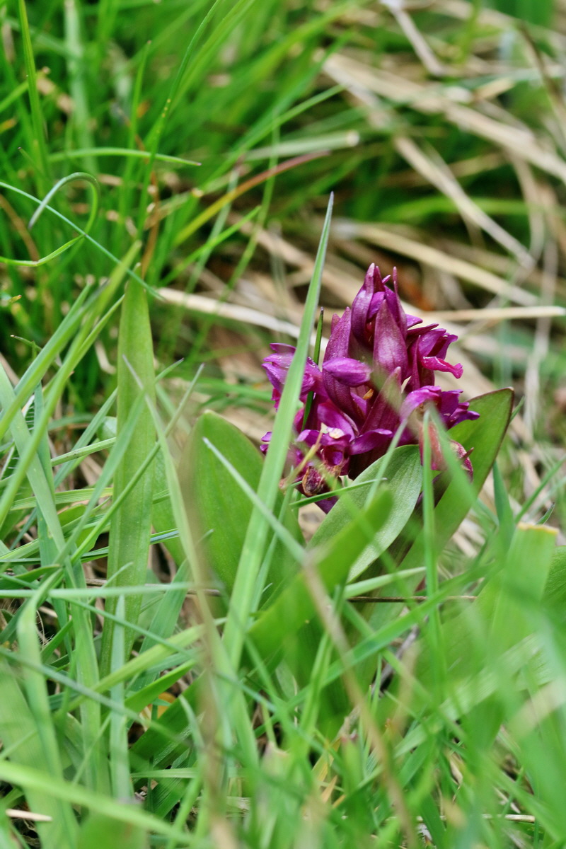 RNA_2017_04_30_0975p_Bildgr��e �ndern