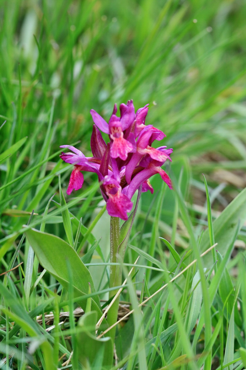 RNA_2017_04_30_0982p_Bildgr��e �ndern