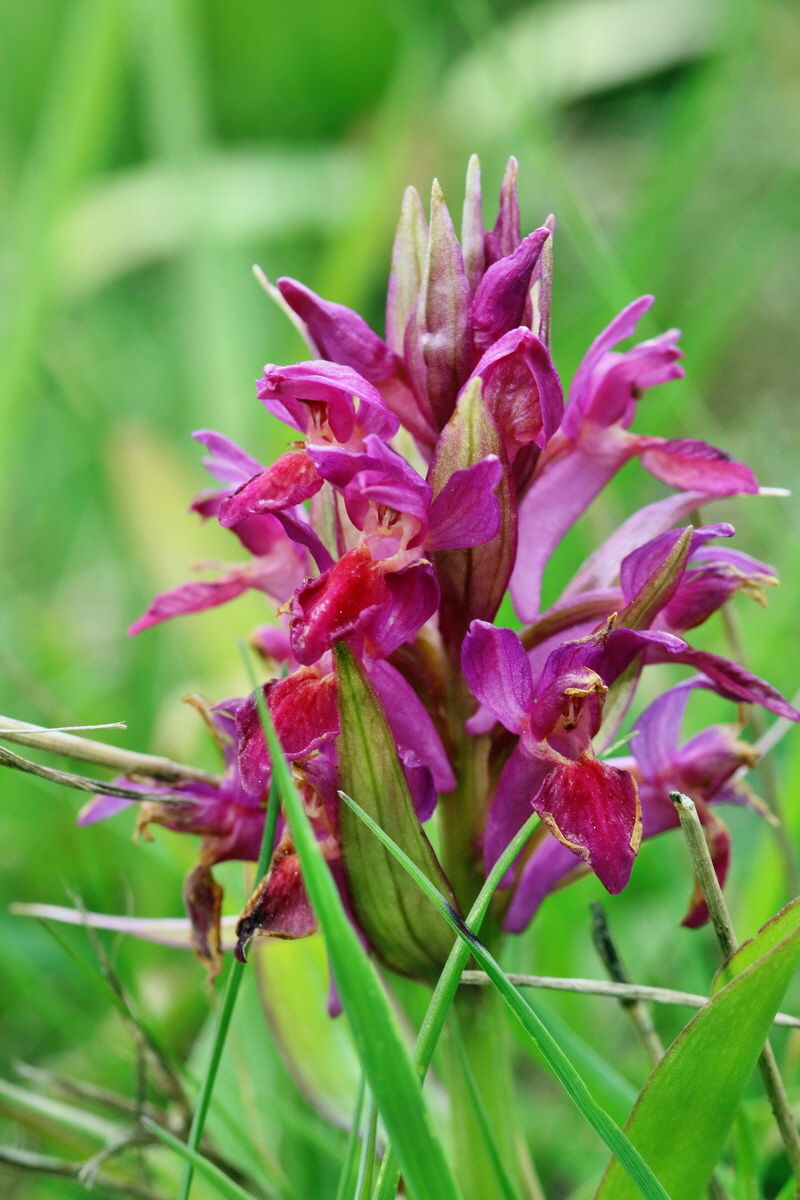 RNA_2017_04_30_0993p_Bildgr��e �ndern