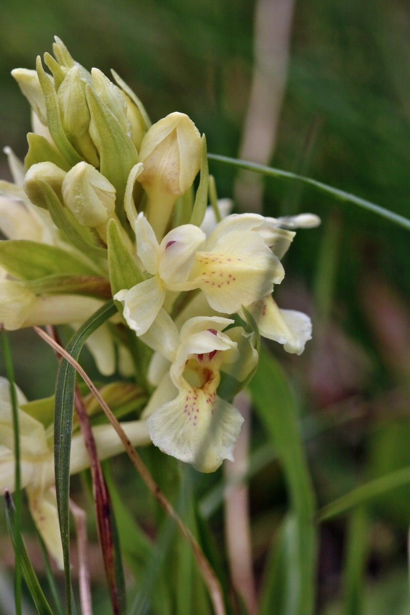 RNA_2017_04_30_0997p_Bildgr��e �ndern