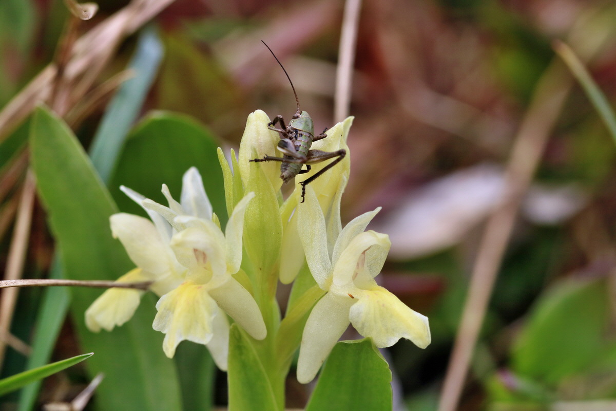 RNA_2017_04_30_1021p_Bildgr��e �ndern