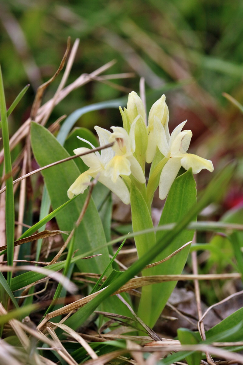 RNA_2017_04_30_1045p_Bildgr��e �ndern