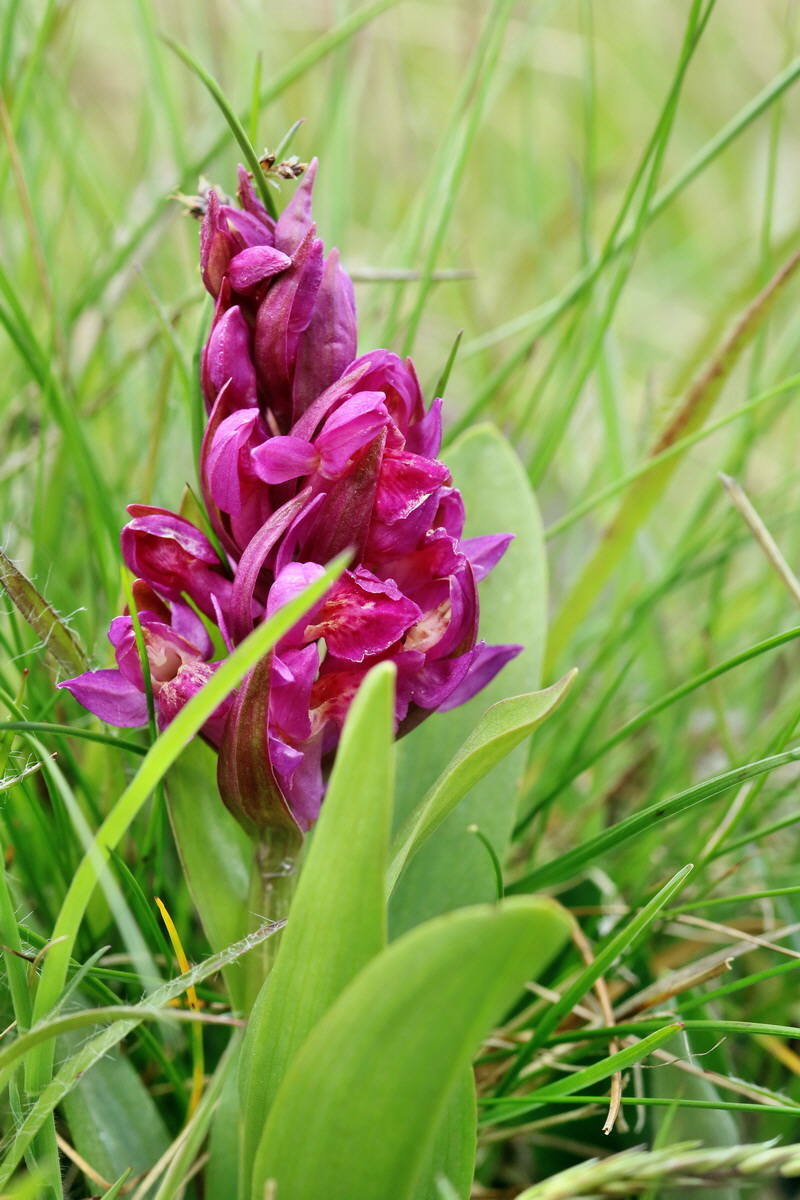 RNA_2017_04_30_1050p_Bildgr��e �ndern