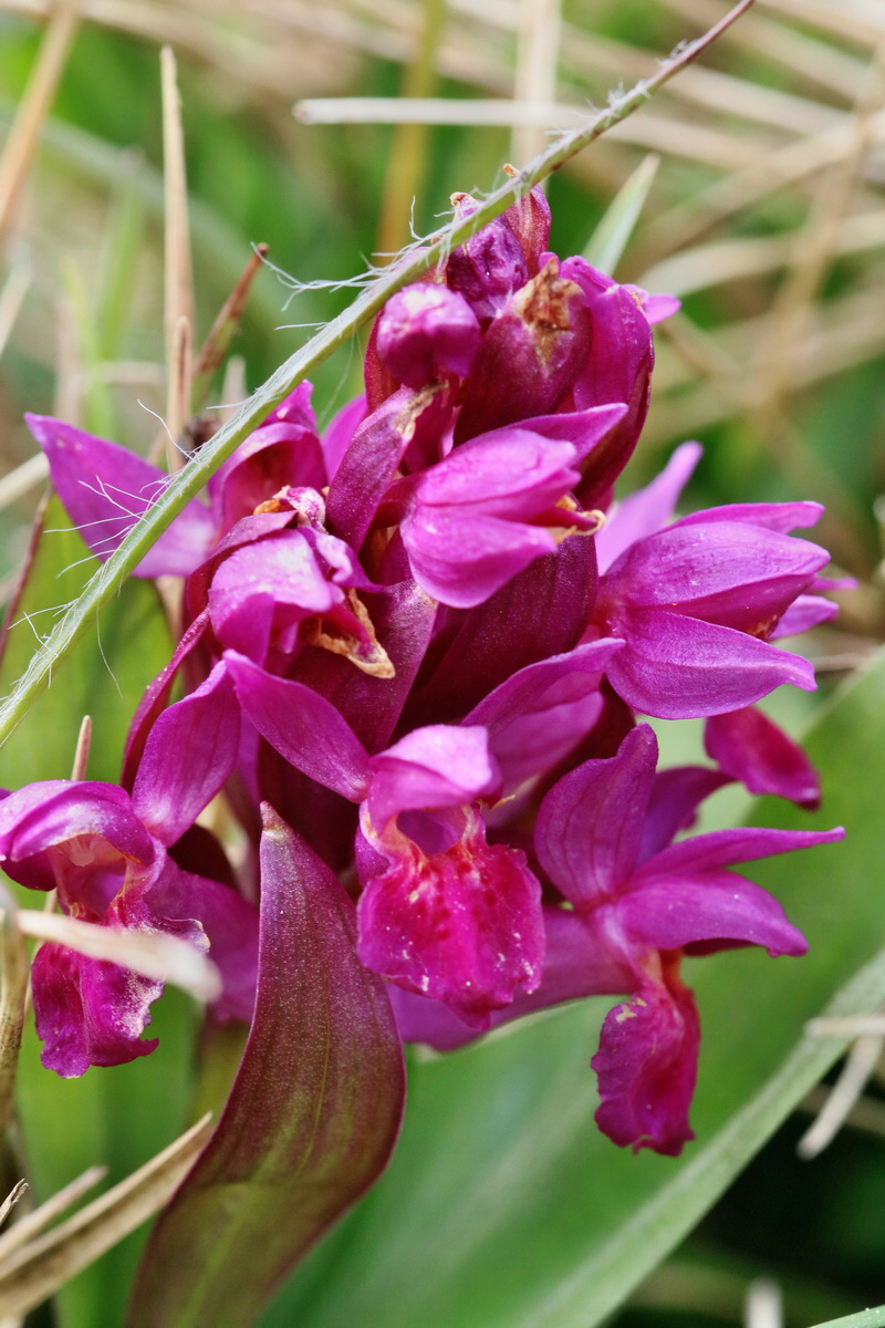 RNA_2017_04_30_1056p_Bildgr��e �ndern