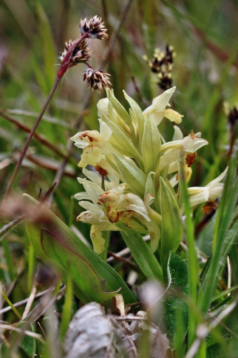 RNA_2017_04_30_1060p_Bildgr��e �ndern