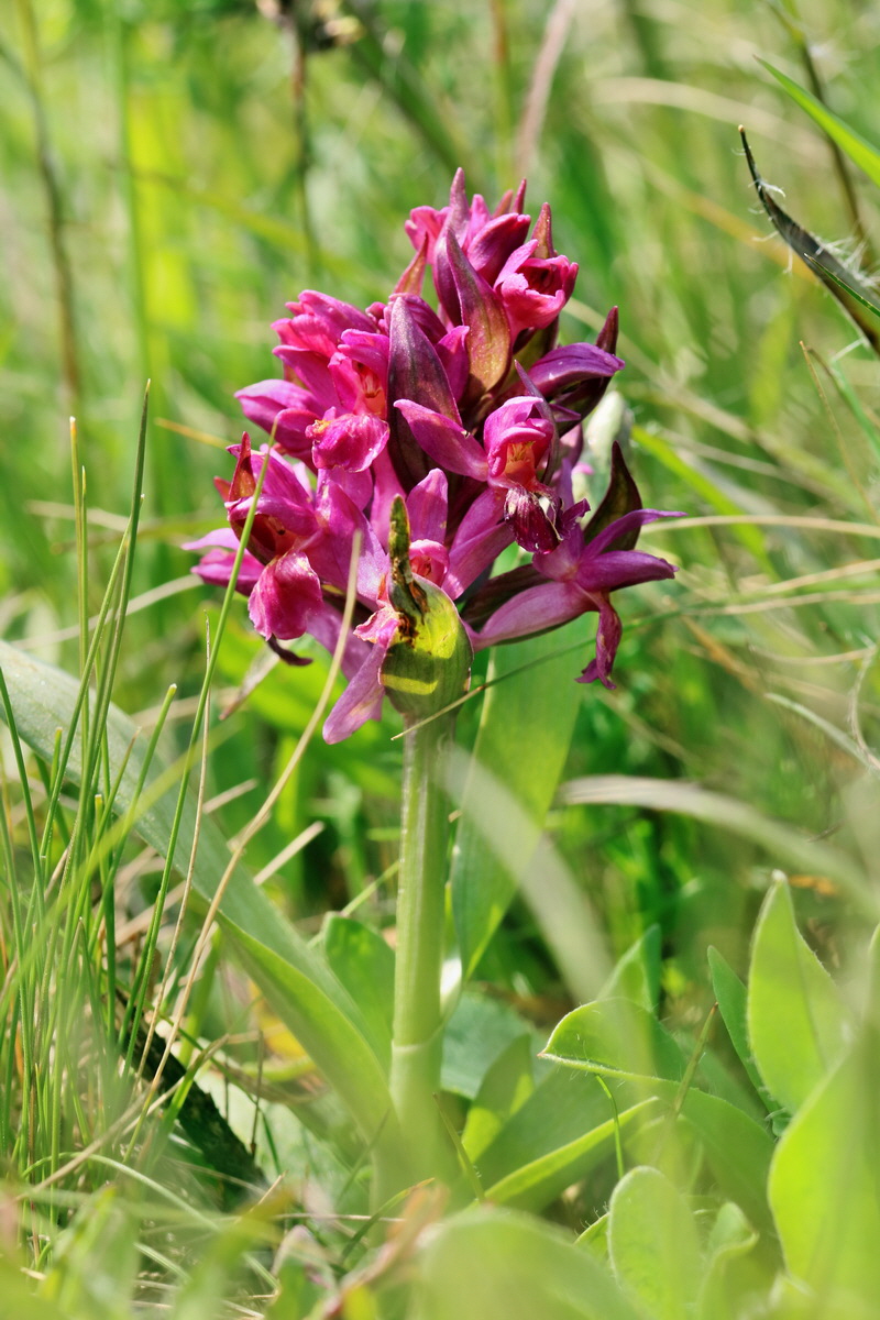 RNA_2017_04_30_1065p_Bildgr��e �ndern