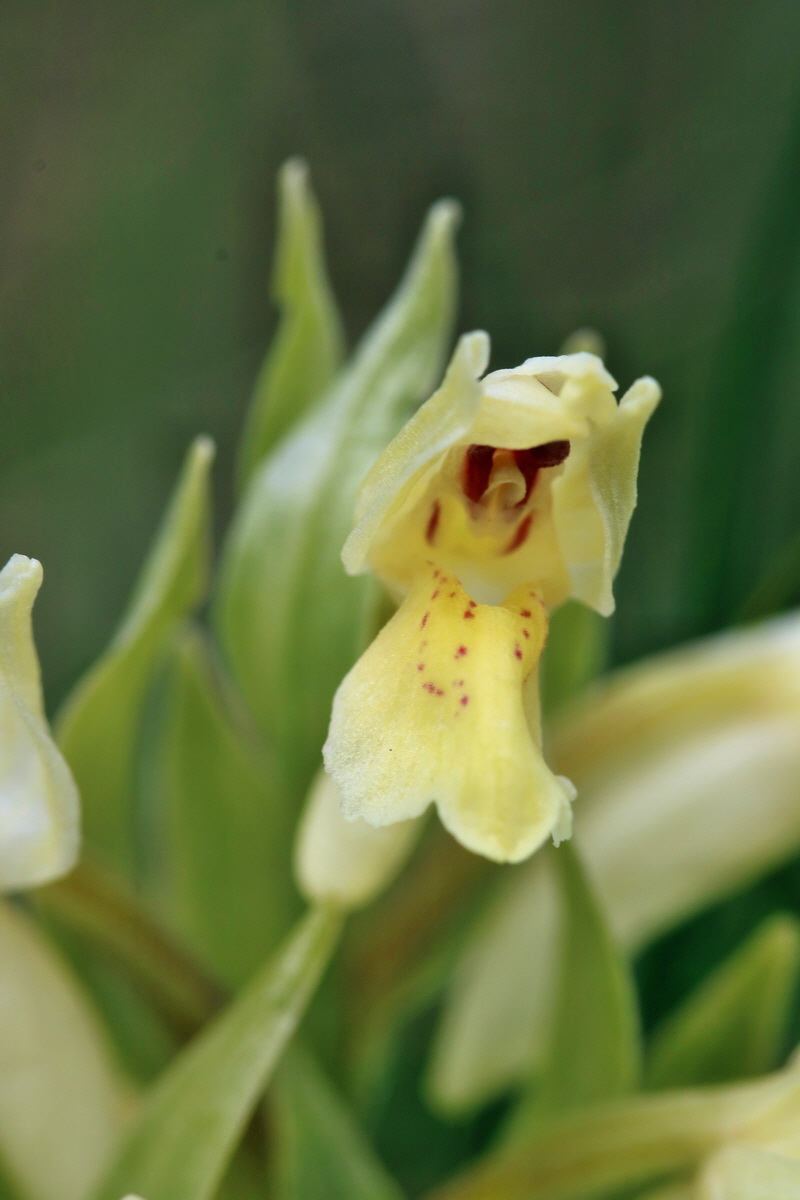 RNA_2017_04_30_1071p_Bildgr��e �ndern