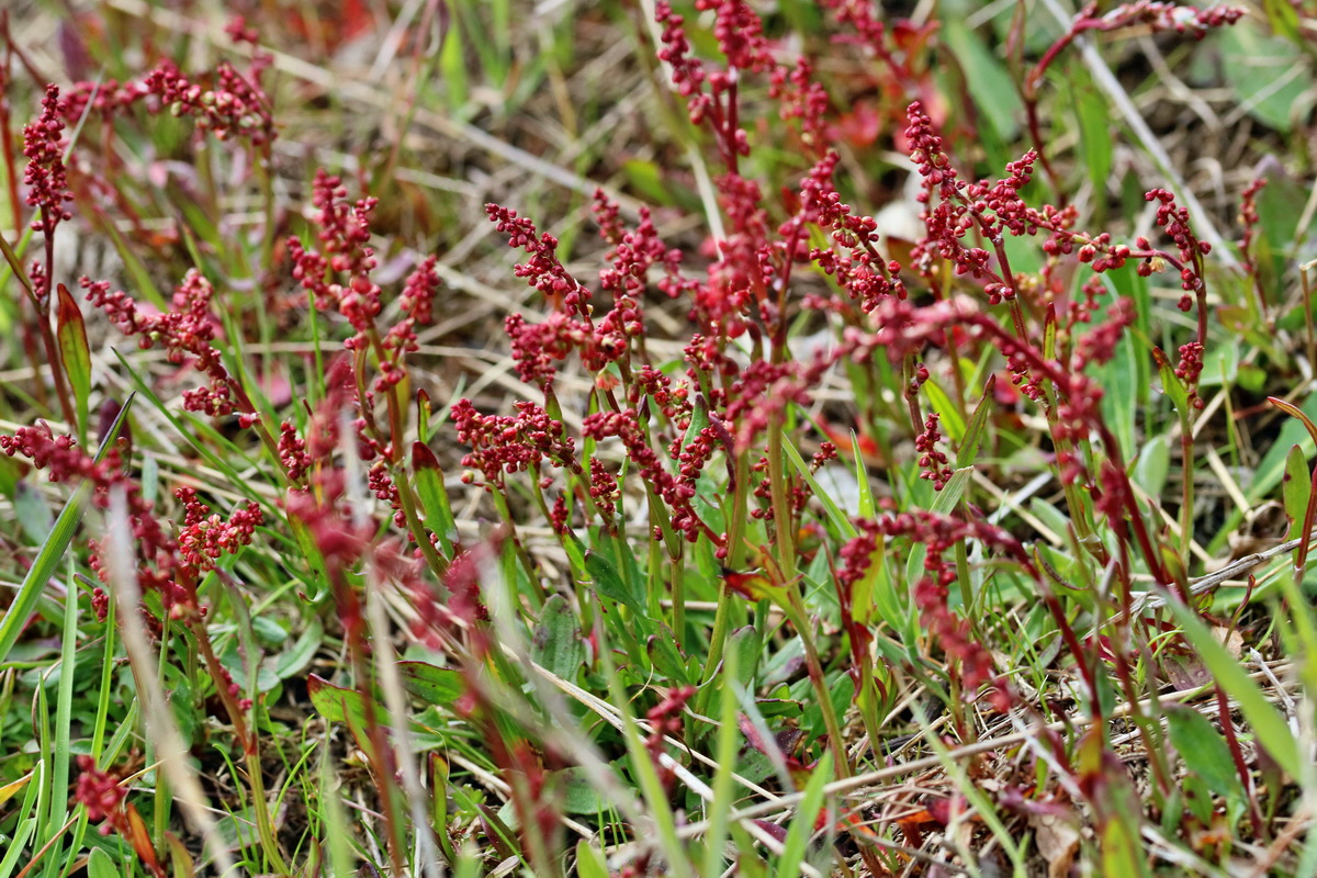 RNA_2017_04_30_1079p_Bildgr��e �ndern