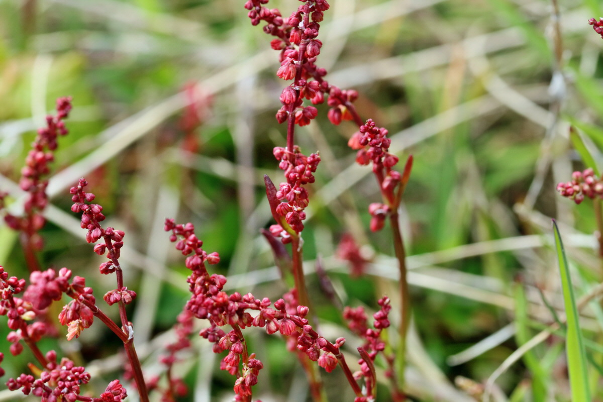 RNA_2017_04_30_1083p_Bildgr��e �ndern