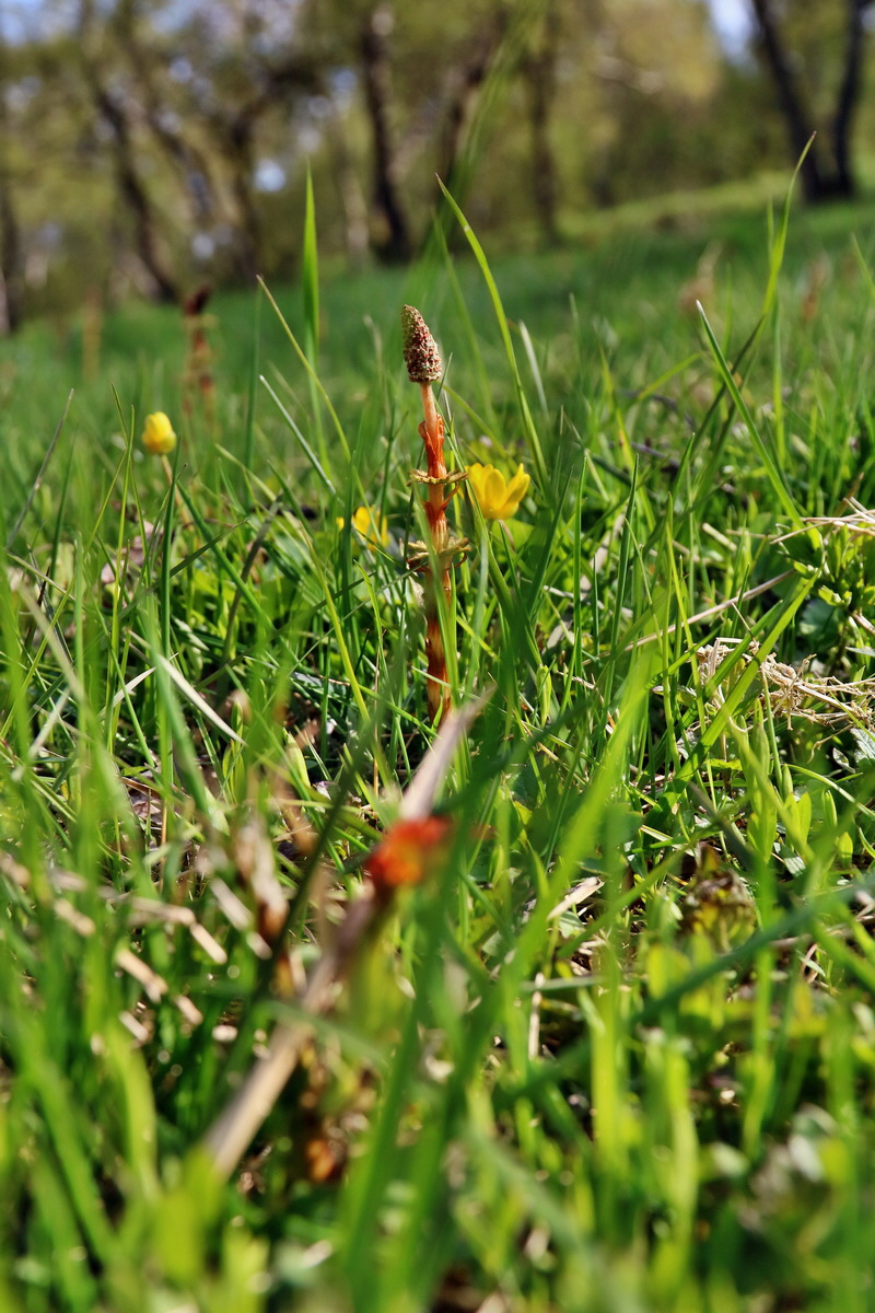 RNA_2017_04_30_1149p_Bildgr��e �ndern