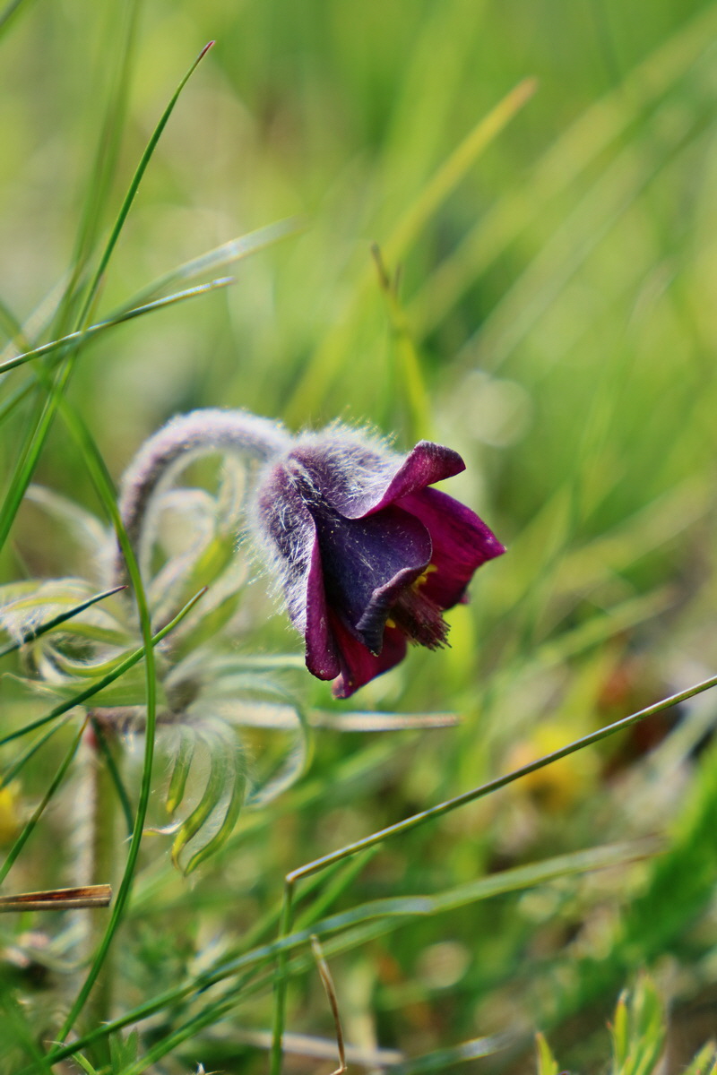 RNA_2017_04_30_1162p_Bildgr��e �ndern