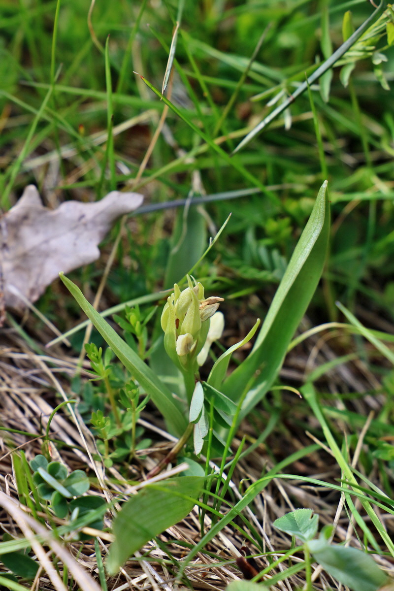 RNA_2017_04_30_1168p_Bildgr��e �ndern