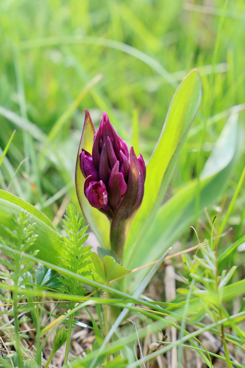 RNA_2017_04_30_1173p_Bildgr��e �ndern