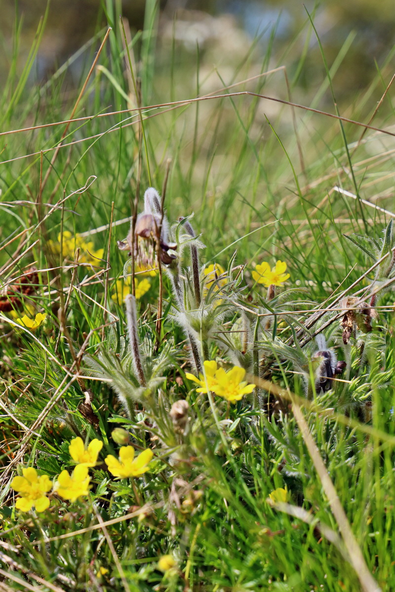 RNA_2017_04_30_1176p_Bildgr��e �ndern