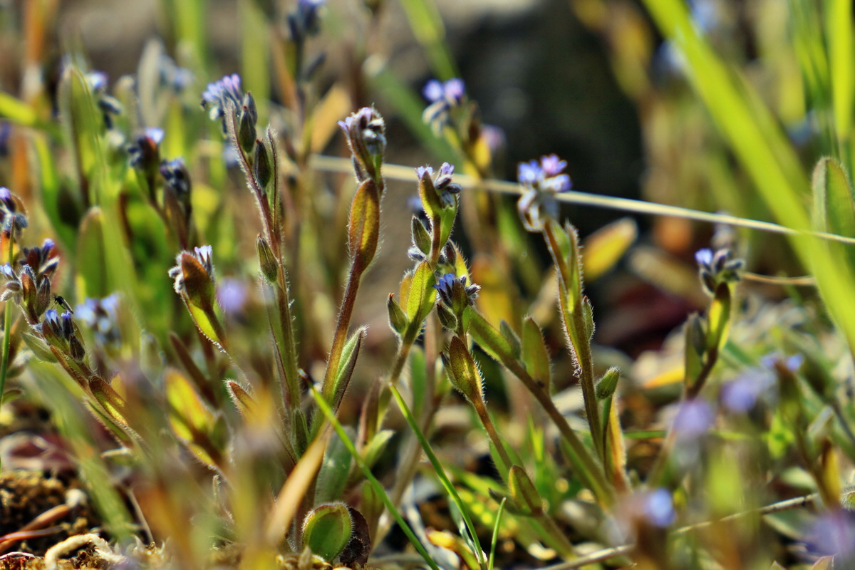 RNA_2017_04_30_1182p_Bildgr��e �ndern