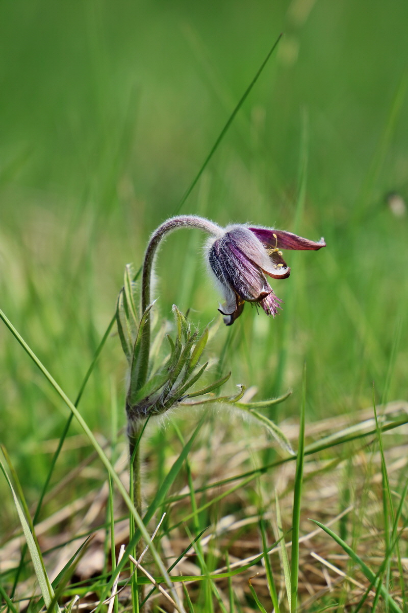 RNA_2017_04_30_1195p_Bildgr��e �ndern