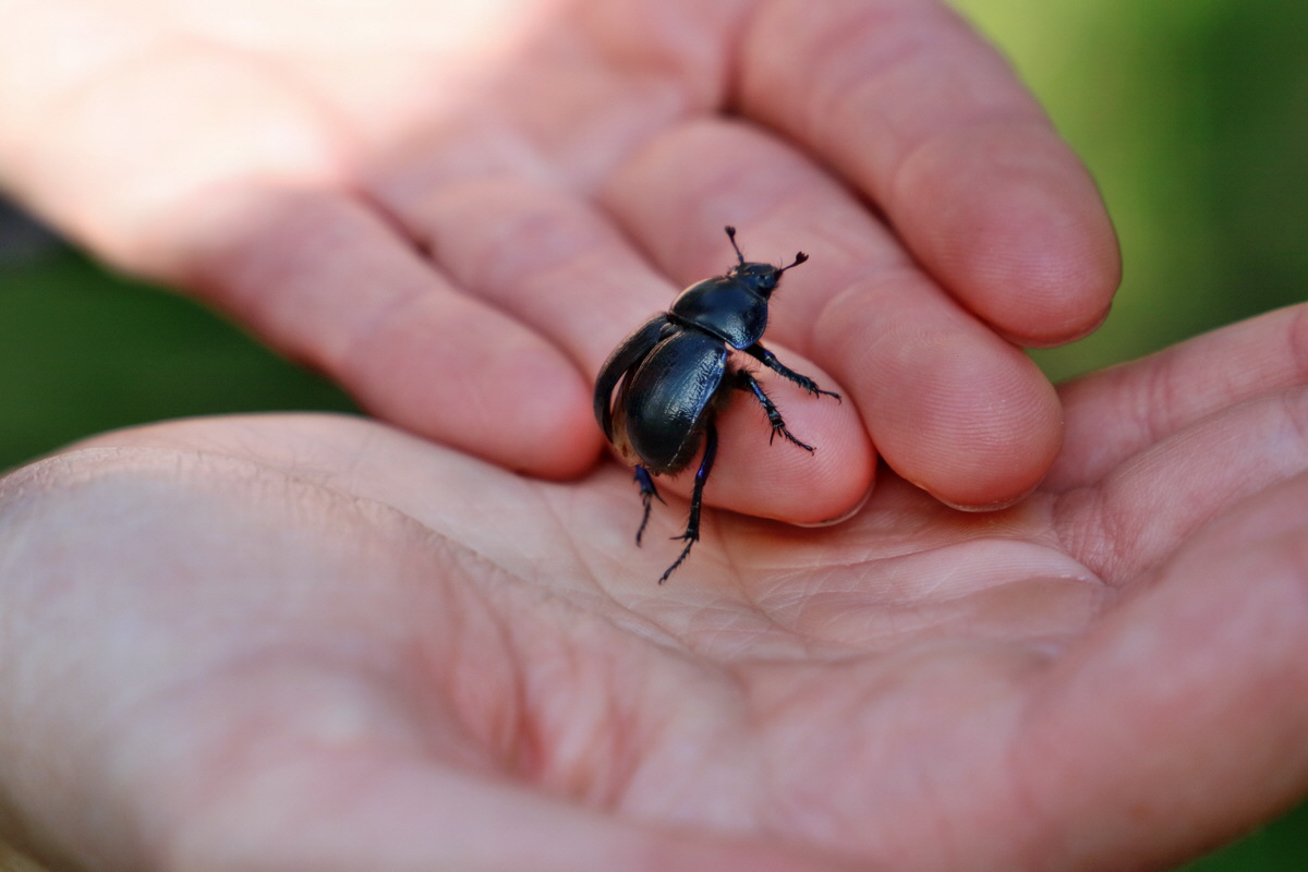 RNA_2017_04_30_1202p_Bildgr��e �ndern