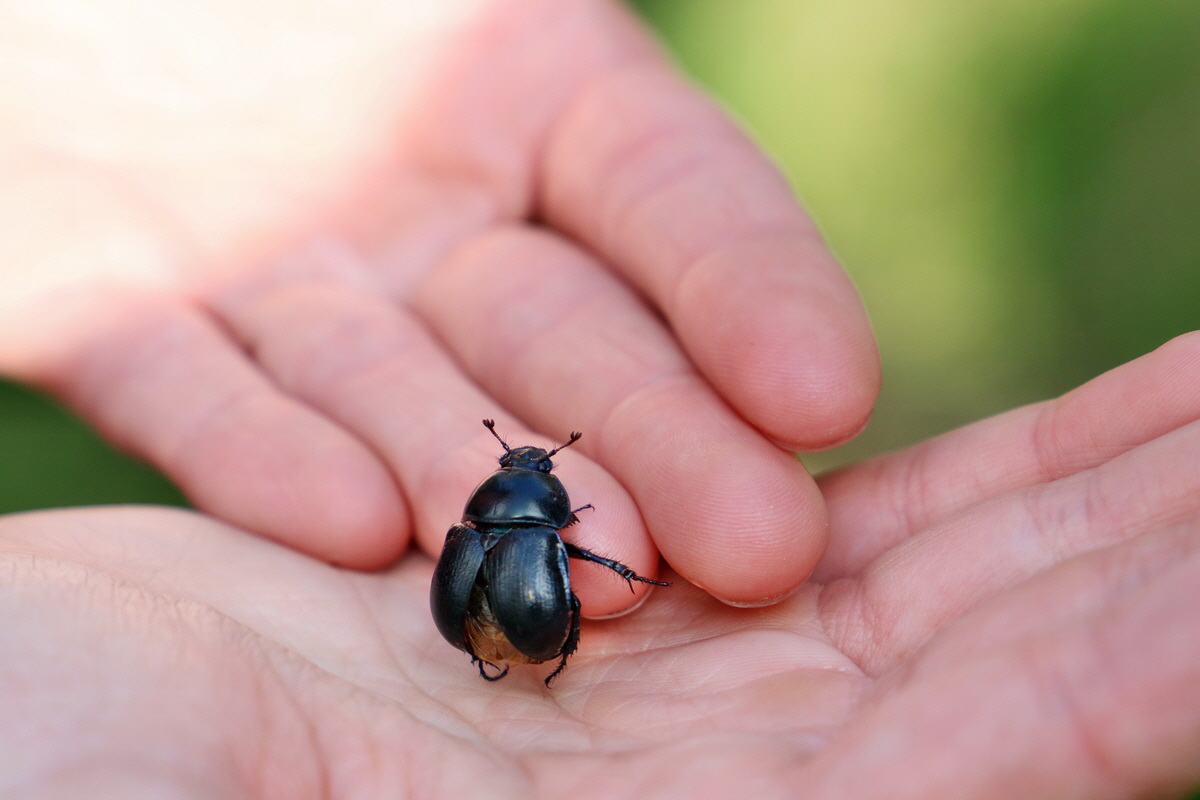 RNA_2017_04_30_1204p_Bildgr��e �ndern